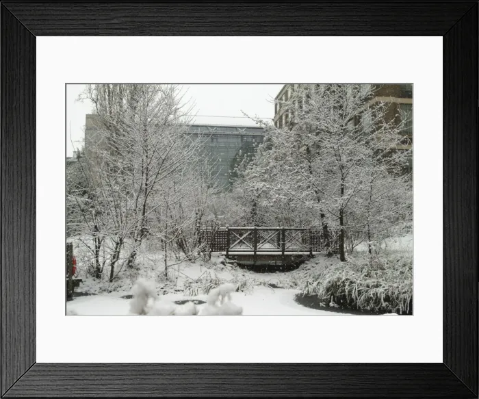 Framed Print : The Wildlife Garden in winter Framed Print : The Wildlife Garden in winter