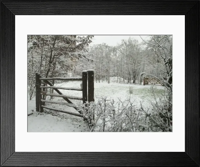 Framed Print : The Wildlife Garden Framed Print : The Wildlife Garden