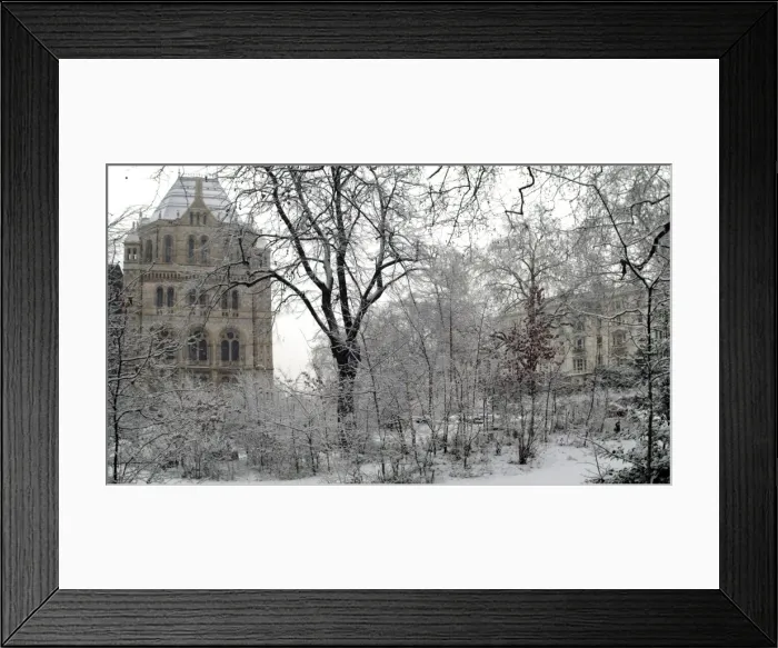Framed Print : The Wildlife Garden Framed Print : The Wildlife Garden