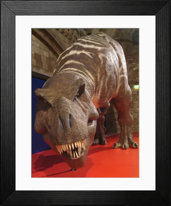 Framed Print : Tyrannosaurus rex, Upper Cretaceous dinosaur Framed Print : Tyrannosaurus rex, Upper Cretaceous dinosaur
