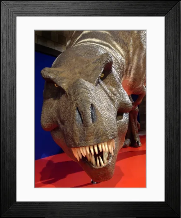 Framed Print : Tyrannosaurus rex Framed Print : Tyrannosaurus rex