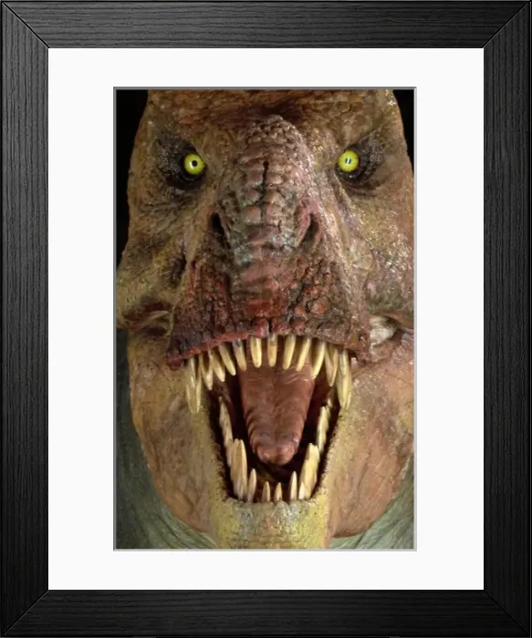 Framed Print : Tyrannosaurus rex Framed Print : Tyrannosaurus rex
