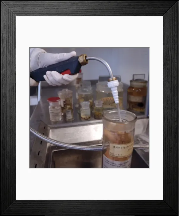 Framed Print : Scientist at work adding alcohol to a specimen jar