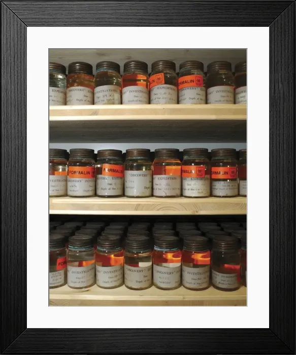 Framed Print : Antarctic Discovery Collections Framed Print : Antarctic Discovery Collections