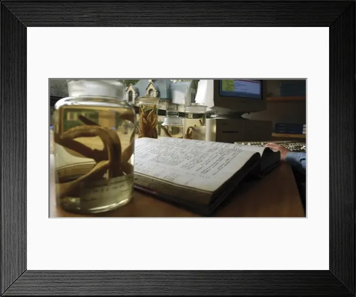 Framed Print : Curation and data transfer Framed Print : Curation and data transfer