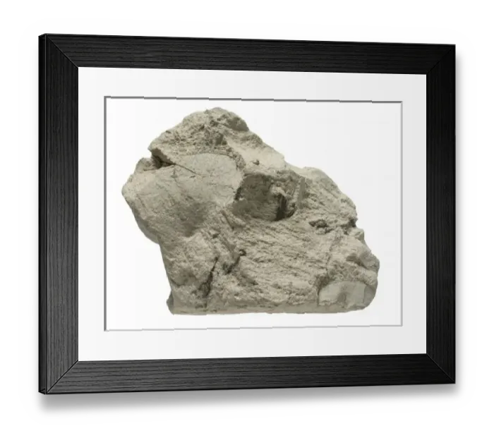 Framed Print : Bentonite. A specimen of the mineral Bentonite Reg No Framed Print : Bentonite. A specimen of the mineral Bentonite Reg No