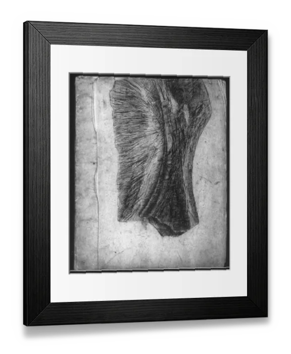 Framed Print : Belemnites Framed Print : Belemnites