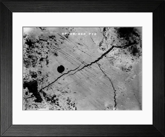 Framed Print : Piltdown 1 molar Framed Print : Piltdown 1 molar
