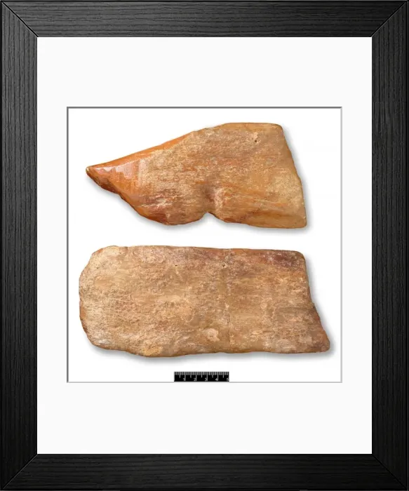 Framed Print : Piltdown cricket bat