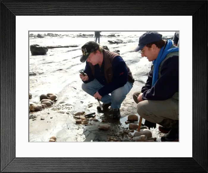 Framed Print : Lyme Regis field trip, 2003 Framed Print : Lyme Regis field trip, 2003