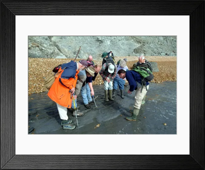 Framed Print : Lyme Regis field trip, 2003 Framed Print : Lyme Regis field trip, 2003