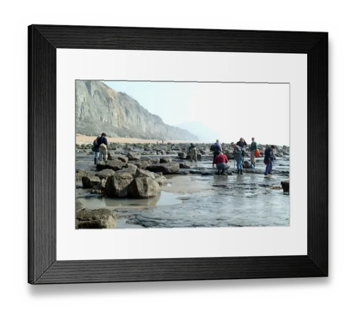 Framed Print : Lyme Regis field trip, 2003 Framed Print : Lyme Regis field trip, 2003