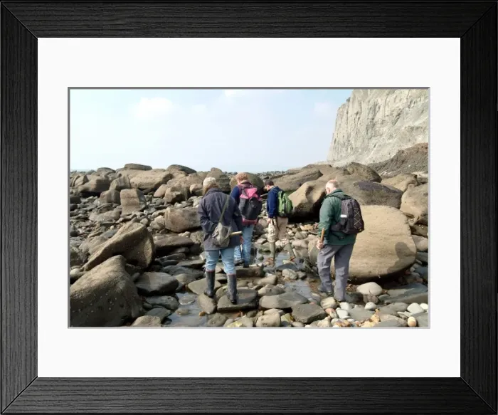 Framed Print : Lyme Regis field trip, 2003 Framed Print : Lyme Regis field trip, 2003