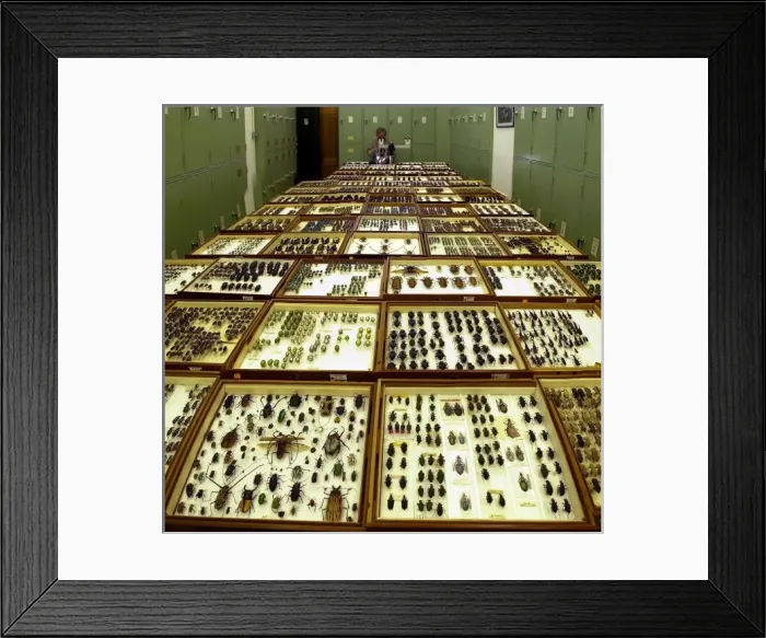 Framed Print : Scientist at work Framed Print : Scientist at work