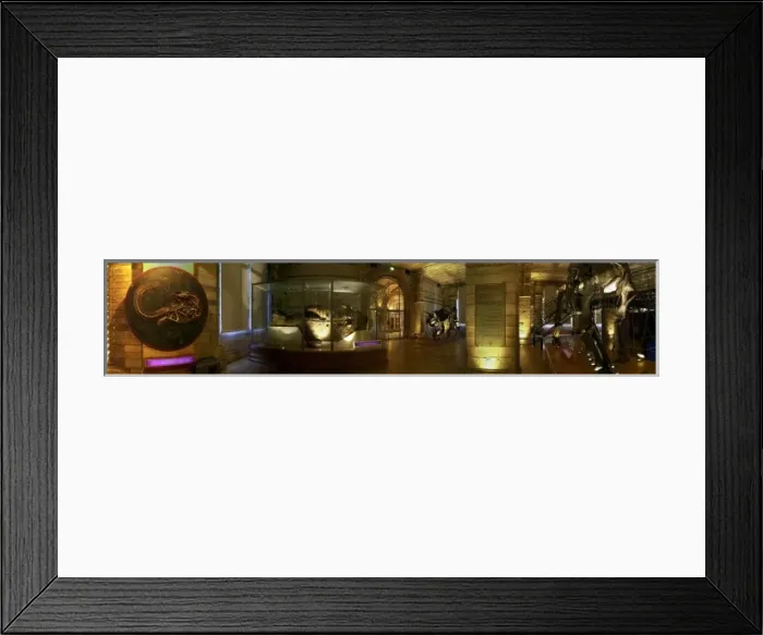 Framed Print : Dinosaurs Gallery Framed Print : Dinosaurs Gallery