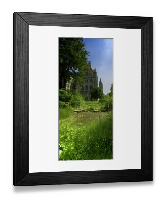 Framed Print : Wildlife Garden Framed Print : Wildlife Garden