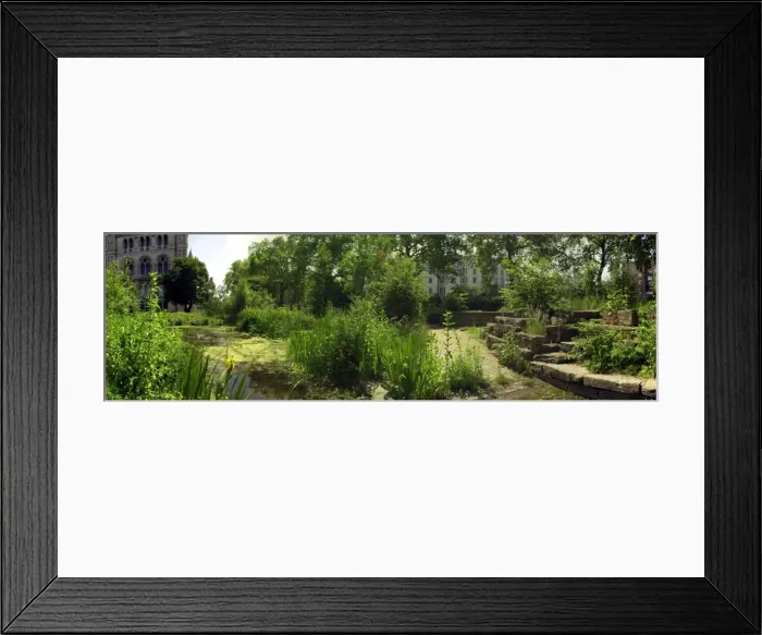 Framed Print : Wildlife Garden Framed Print : Wildlife Garden