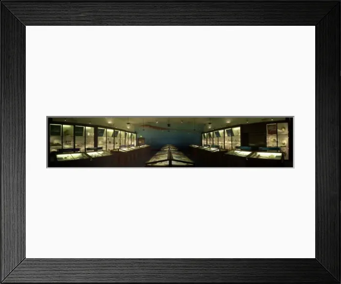 Framed Print : Marine Invertebrates Framed Print : Marine Invertebrates