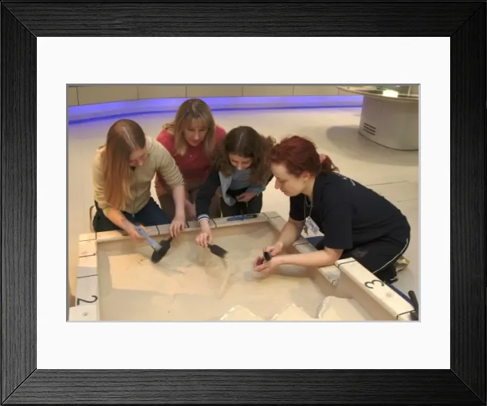 Framed Print : Investigate, the Natural History Museum Framed Print : Investigate, the Natural History Museum