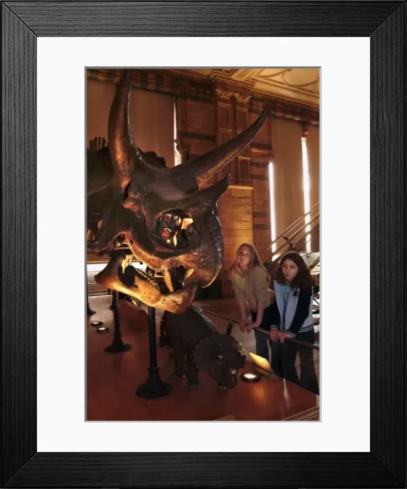 Framed Print : Dinosaur Gallery Framed Print : Dinosaur Gallery