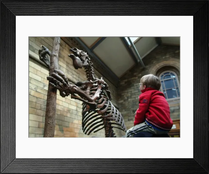 Framed Print : Waterhouse Way, the Natural History Museum Framed Print : Waterhouse Way, the Natural History Museum