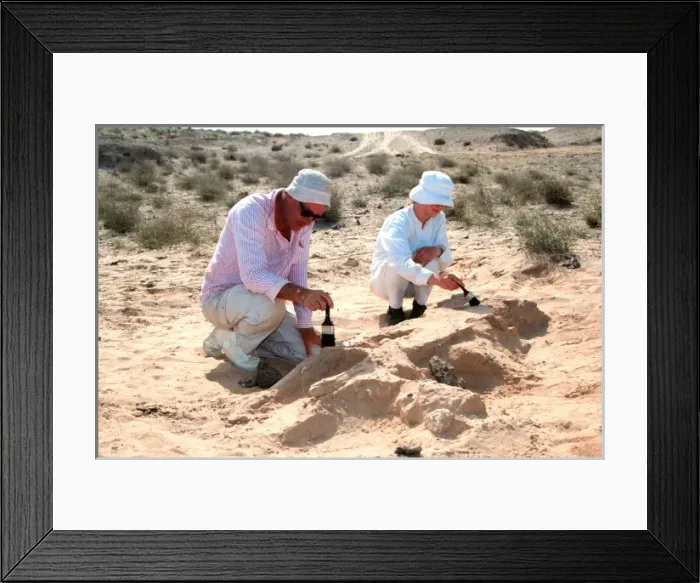 Framed Print : Excavations, Abu Dhabi Framed Print : Excavations, Abu Dhabi