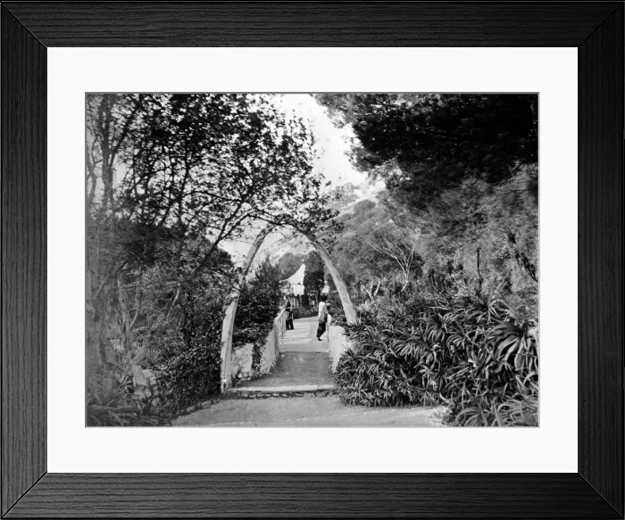 Framed Print : Public Gardens, Gibraltar Framed Print : Public Gardens, Gibraltar