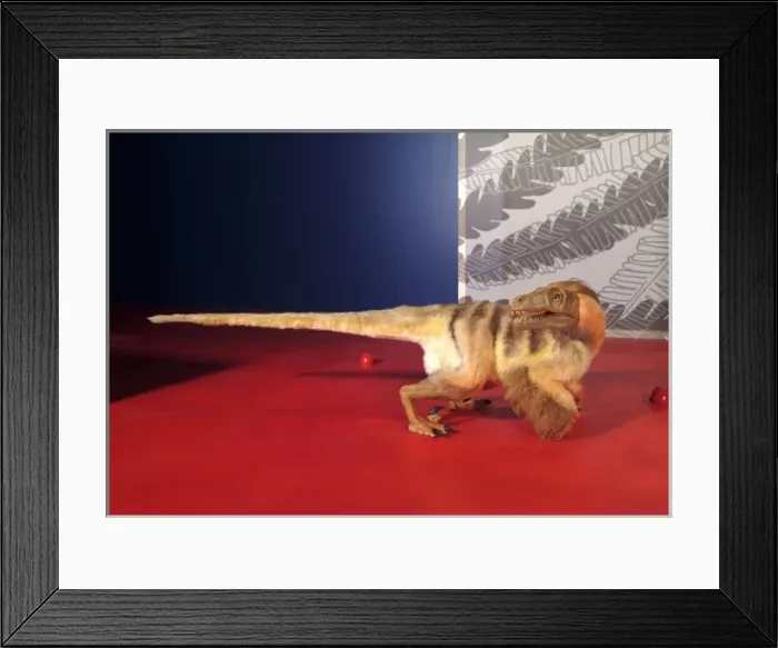 Framed Print : Saurornitholestes, Upper Cretaceous dinosaur Framed Print : Saurornitholestes, Upper Cretaceous dinosaur