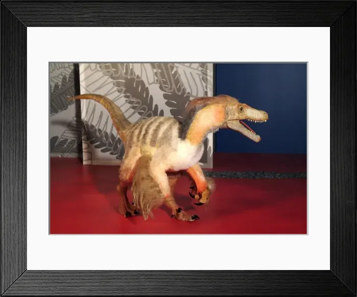 Framed Print : Saurornitholestes Framed Print : Saurornitholestes