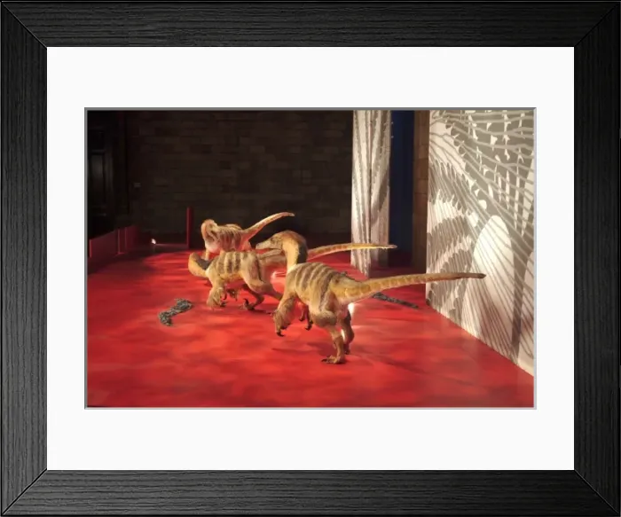 Framed Print : Saurornitholestes Framed Print : Saurornitholestes