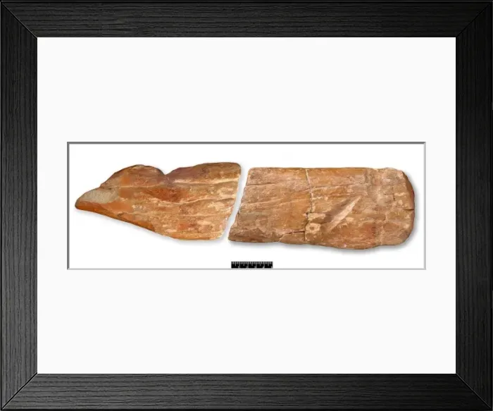 Framed Print : Piltdown cricket bat Framed Print : Piltdown cricket bat