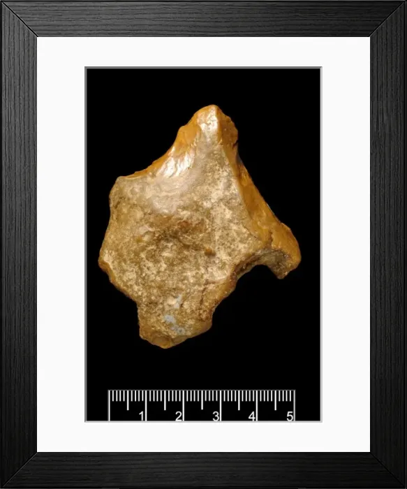 Framed Print : Piltdown Eolithic flint Framed Print : Piltdown Eolithic flint