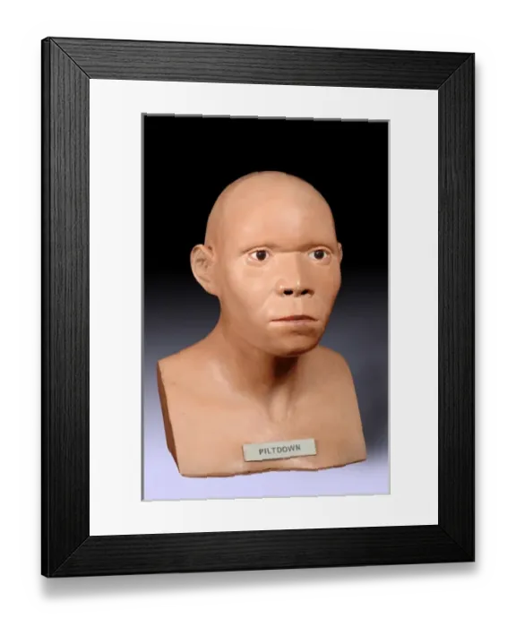 Framed Print : Piltdown Man (Model based on Piltdown 1 & 2) Framed Print : Piltdown Man (Model based on Piltdown 1 & 2)
