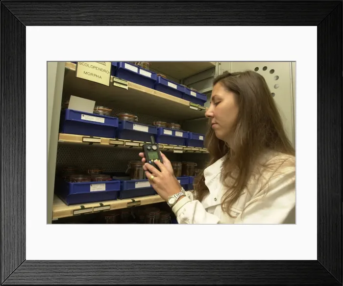 Framed Print : Scientist working with specimens Framed Print : Scientist working with specimens