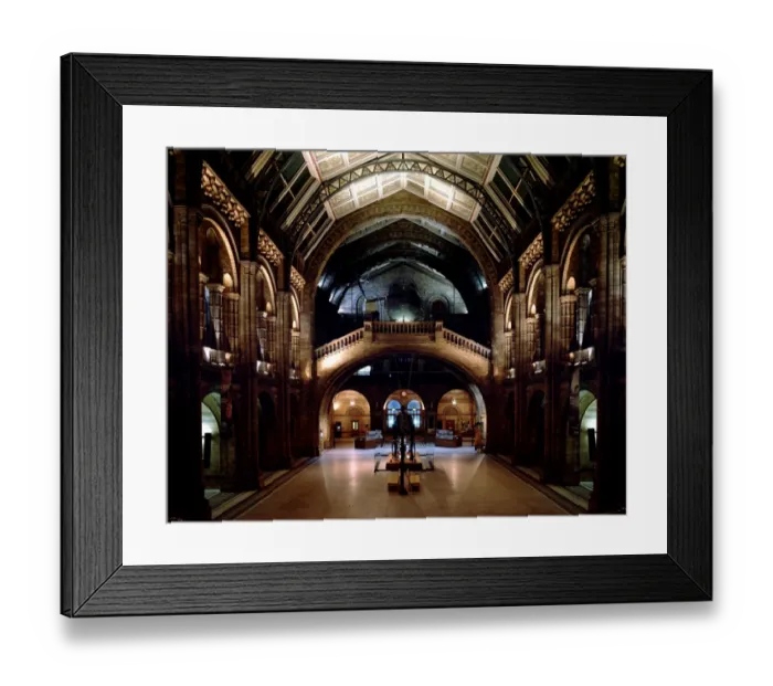 Framed Print : The Central Hall of the Natural History Museum, London Framed Print : The Central Hall of the Natural History Museum, London
