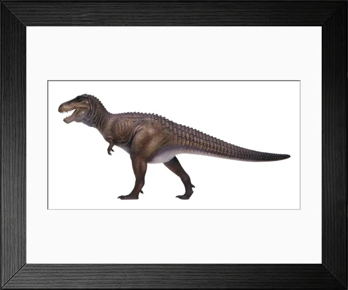 Framed Print : Tyrannosaurus rex Framed Print : Tyrannosaurus rex