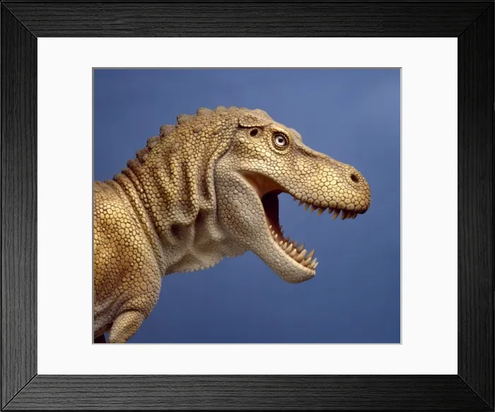 Framed Print : Tyrannosaurus rex Framed Print : Tyrannosaurus rex