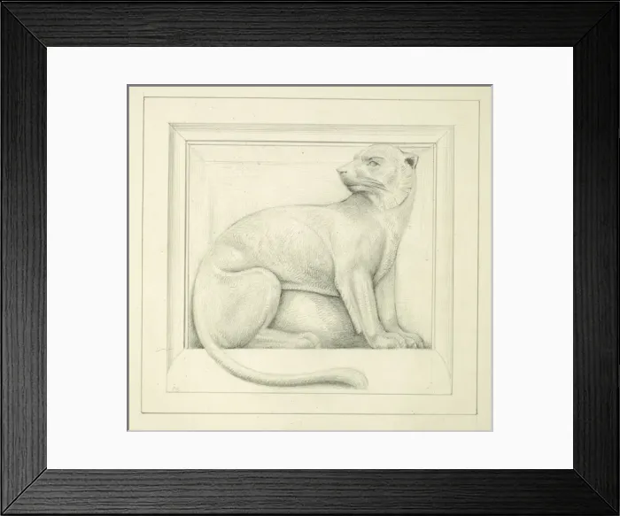 Framed Print : Designs for the Natural History Museum, by Alfred Waterhouse Framed Print : Designs for the Natural History Museum, by Alfred Waterhouse