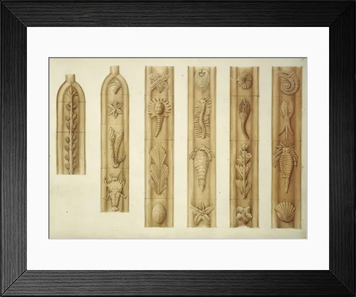 Framed Print : Designs for the Natural History Museum, by Alfred Waterhouse Framed Print : Designs for the Natural History Museum, by Alfred Waterhouse