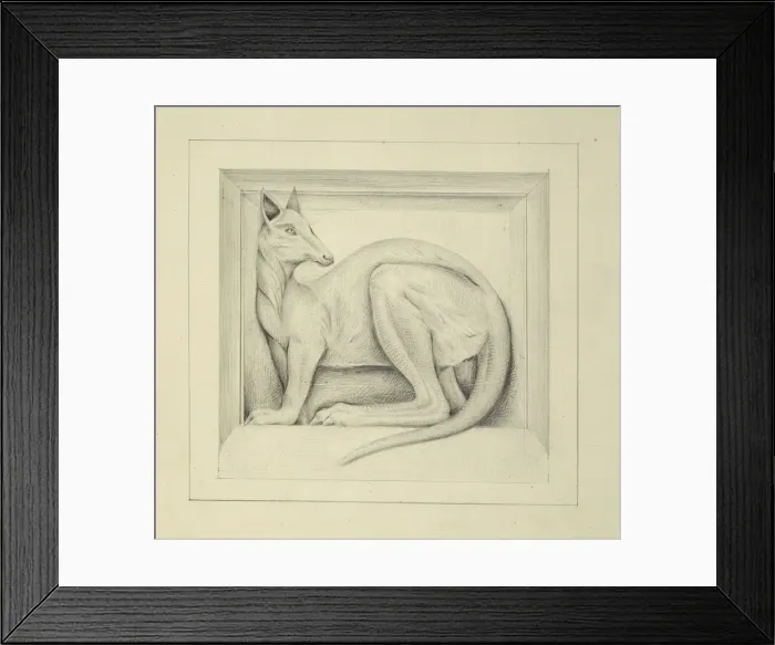 Framed Print : Designs for the Natural History Museum, by Alfred Waterhouse Framed Print : Designs for the Natural History Museum, by Alfred Waterhouse