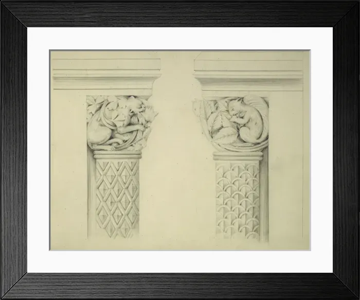 Framed Print : Designs for the Natural History Museum, by Alfred Waterhouse Framed Print : Designs for the Natural History Museum, by Alfred Waterhouse