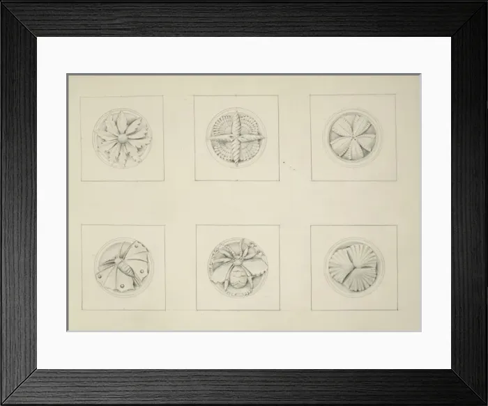 Framed Print : Designs for the Natural History Museum, by Alfred Waterhouse Framed Print : Designs for the Natural History Museum, by Alfred Waterhouse