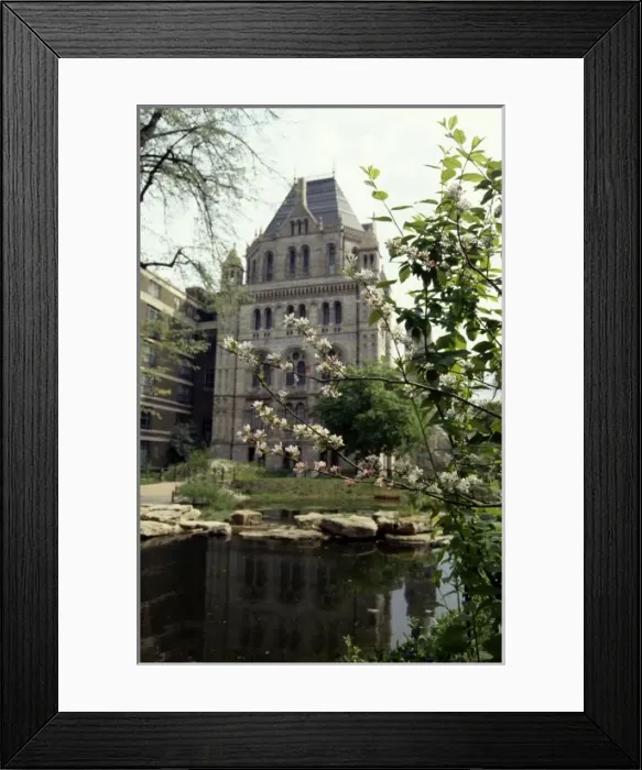 Framed Print : Wildlife Garden, the Natural History Museum Framed Print : Wildlife Garden, the Natural History Museum
