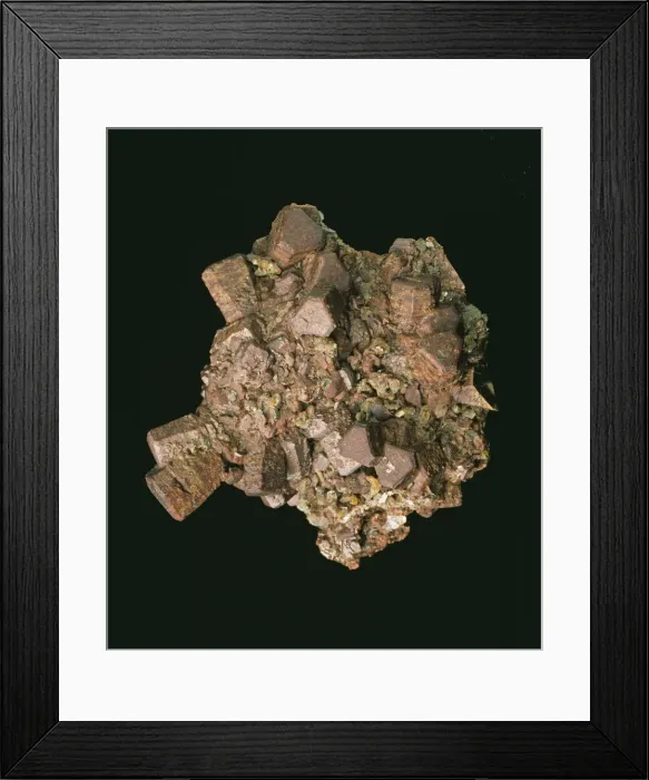 Framed Print : Siderite. Stout prisms of siderite, up to 1.7cm long Framed Print : Siderite. Stout prisms of siderite, up to 1.7cm long