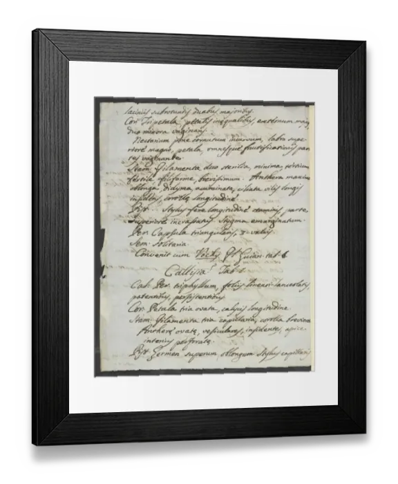 Framed Print : Letter from Vandelli, Domenico Framed Print : Letter from Vandelli, Domenico