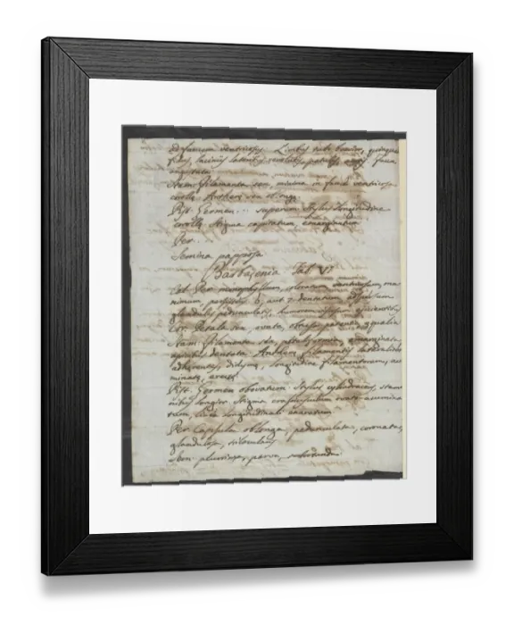 Framed Print : Letter from Vandelli, Domenico Framed Print : Letter from Vandelli, Domenico
