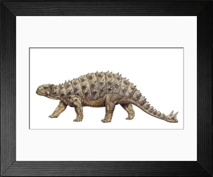 Framed Print : Euoplocephalus