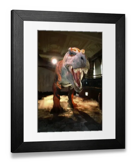 Framed Print : Tyrannosaurus rex Framed Print : Tyrannosaurus rex