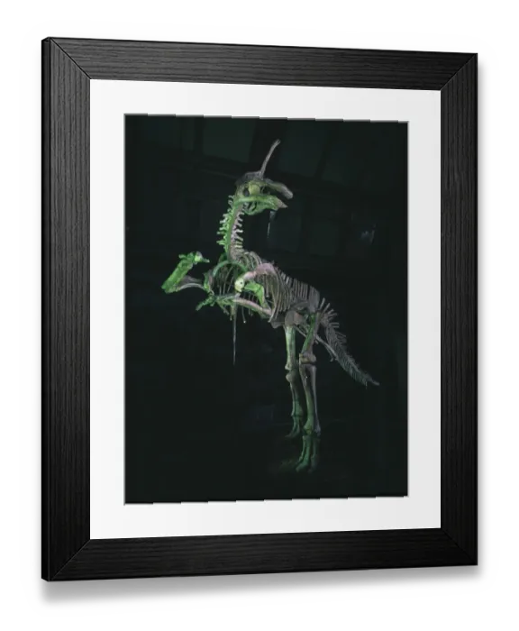 Framed Print : Tsintaosaurus Framed Print : Tsintaosaurus