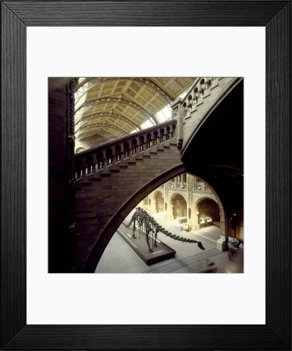 Framed Print : The Central Hall of the Natural History Museum, London Framed Print : The Central Hall of the Natural History Museum, London